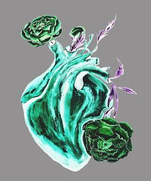 The heart Stock Illustration