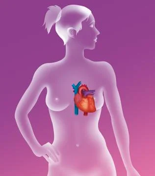 Heart, illustration Stock Illustration