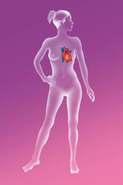 Heart, illustration Stock Illustration
