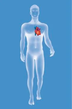 Heart, illustration Stock Illustration