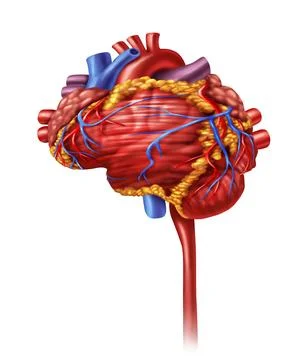 Heart Intelligence Stockillustratie