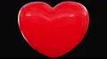 Heart love beating pulse valentine sex anniversary couple romance dating loop 4k 4k or 4k+ Resolution