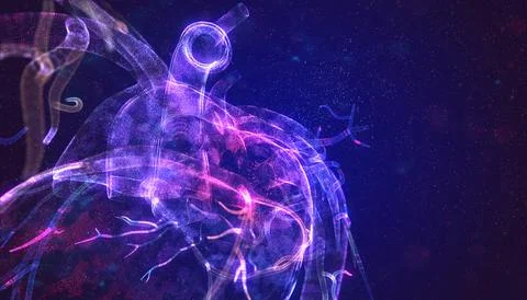 Heart. Low poly wireframe and points. Polygonal 3D human organ on dark blue Stock Illustration