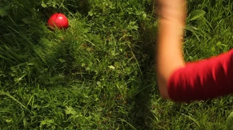 Heart made of apples Stock Footage 8540648