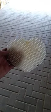 A heart made by bees Stock Photos