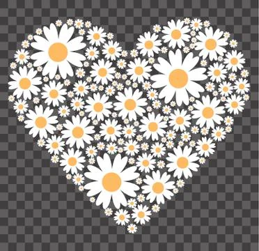 Heart made of chamomiles on a transparent background Stock Illustration
