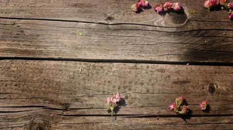 Heart made of flowers Stock Footage 8558694