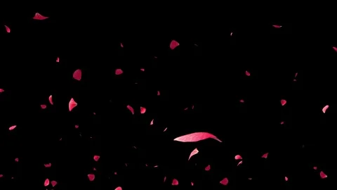 Heart made of rose petals exploding and blowing away in wind motion Stock Footage 327567821