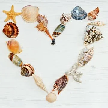 Heart made by sea shells Stock Photos