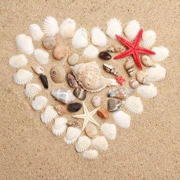 Heart made with shells. Heart shape on sand heart made with shells. Heart ... Stock-Fotos