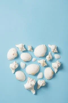 Heart made of white shells on light blue background. A place for your text. Foto stock