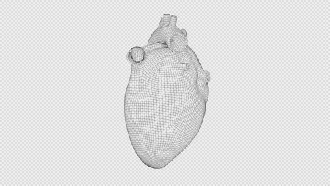Heart - Mesh - Loopable - 01 - ALPHA - 4K - 30 FPS Video stock 305937896