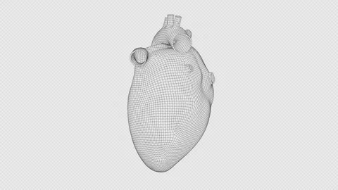 Heart - Mesh - Loopable - 01 - ALPHA - 4K - 25 FPS Video stock 305937933