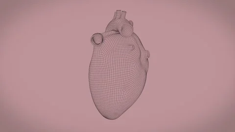 Heart - Mesh - Loopable - 01 - BGND - 4K - 30 FPS 스톡 동영상 305937387