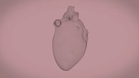 Heart - Mesh - Loopable - 01 - BGND - 4K - 25 FPS 스톡 동영상 305937754