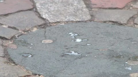 Heart of Midlothian Stock Footage 10885798