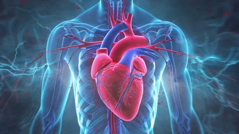 Heart in Motion: Close view of a vibrant, pulsating heartbeat Video stock 263550188