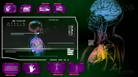 Heart - Multi Interface Scan - pink 01 Stock Footage 59517342