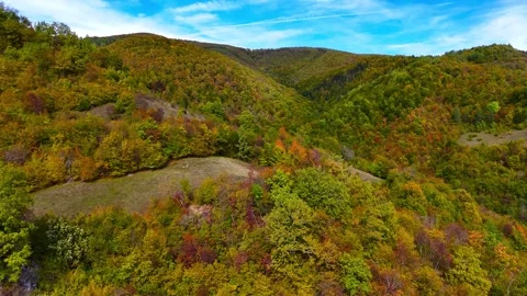The Heart of Nature Stock Footage 307884490