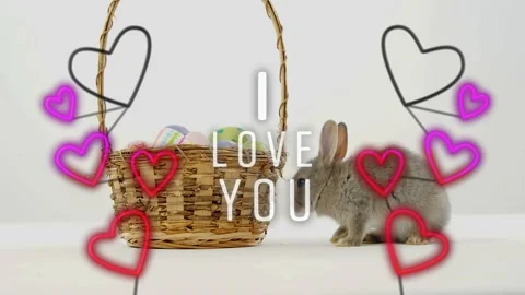 Heart overlays appearing, gray rabbit leaning, sniffing, nudging basket, seeking Vidéo 328366139