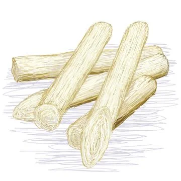 Heart of palm Stock Illustration