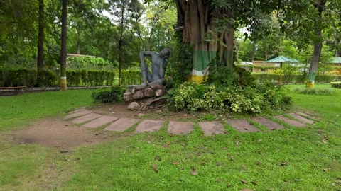 The Heart of the Park: A Tree’s Timeless Elegance Stock Footage 313564591