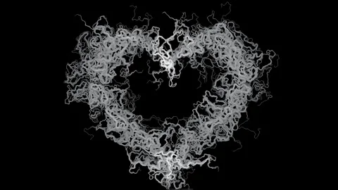 Heart Perlin Noise Flow Field Generative Monochrome Black Background 4K 스톡 동영상 340386722