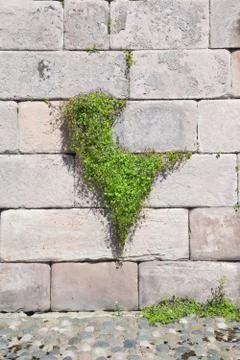 Heart Stock Photos