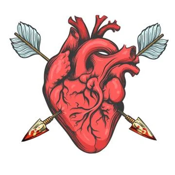 Heart Pierced by Two Arrows Stock Illustration