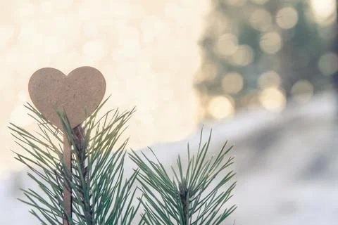 Heart on pine Stock Photos