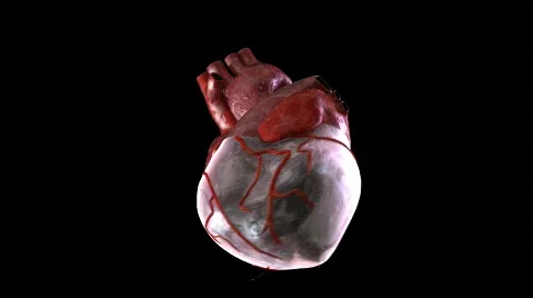 Heart pump 動画素材 791536
