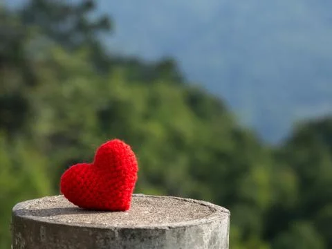 Heart put on stone The background is a forest and mountains. copy space for t Stock Photos