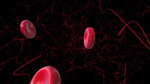 Heart red blood cells loop animation Stock Footage 146503176