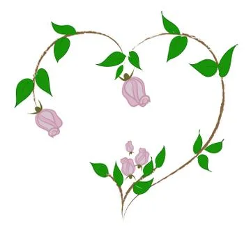 Heart of rose branches on a white background, element for greeting cards Happy Stock Illustration