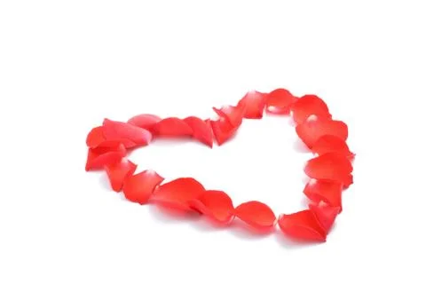 Heart of rose petals Stock Photos