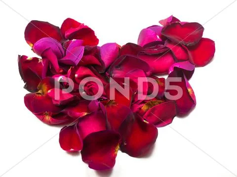 Heart of roses Stock Photos