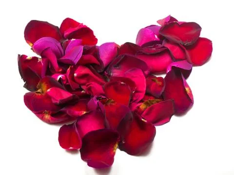 Heart of roses Stock Photos