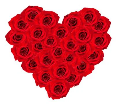 Heart of roses Stock Photos