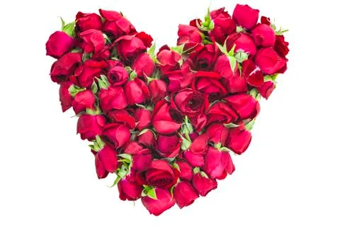 Heart of Roses Stock Photos