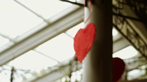 Heart rotates Stock Footage 21817405