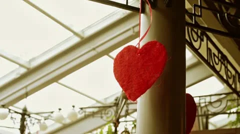 Heart rotates Stock Footage 21817419