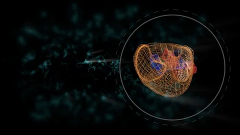 Heart scan animation. The interface for detecting diseases and problems with the Stock Footage 124642328