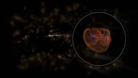 Heart scan animation. The interface for detecting diseases and problems with the Stock Footage 124645805