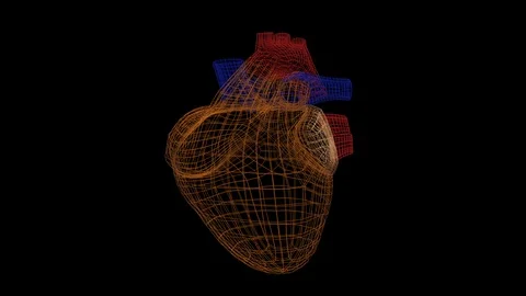 Heart scan animation. The interface for detecting diseases and problems with the Stock Footage 124664424