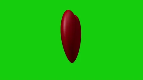 Heart shape 3d animation isolated. Rotating and exploding red heart for Stock Footage 167783764