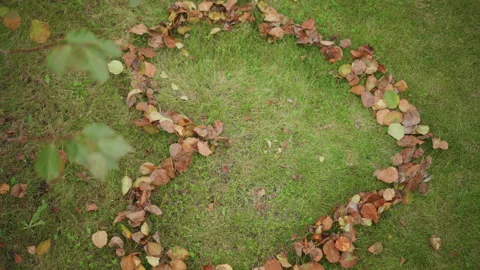 Heart shape among fallen leaves. Romantic scene of leaves on grass. Cozy autumn Stock-Footage 347323250