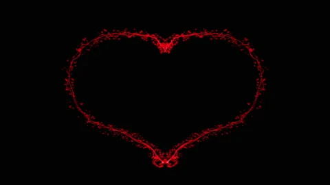 Heart shape animation. Valentine's Day - Holiday. Heart particles animation Stock Footage 147266038
