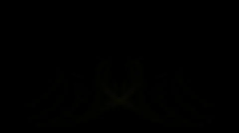 Heart shape background Stock Footage 1090358