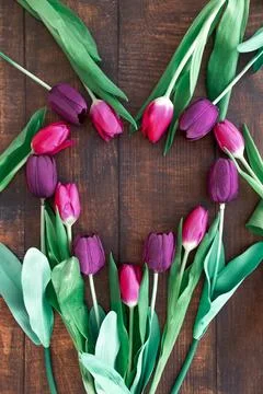 Heart shape border frame made with bouquet of tulips on wooden background. Foto stock