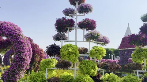 Heart shape canopy along with floral shapes in Miracle garden Dubaimp4 Stock-Footage 322742682